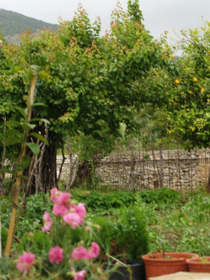 La Casa Di Nonna Lägenhet Qeparo Exteriör bild